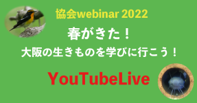 協会Webinar2022を開催しました！