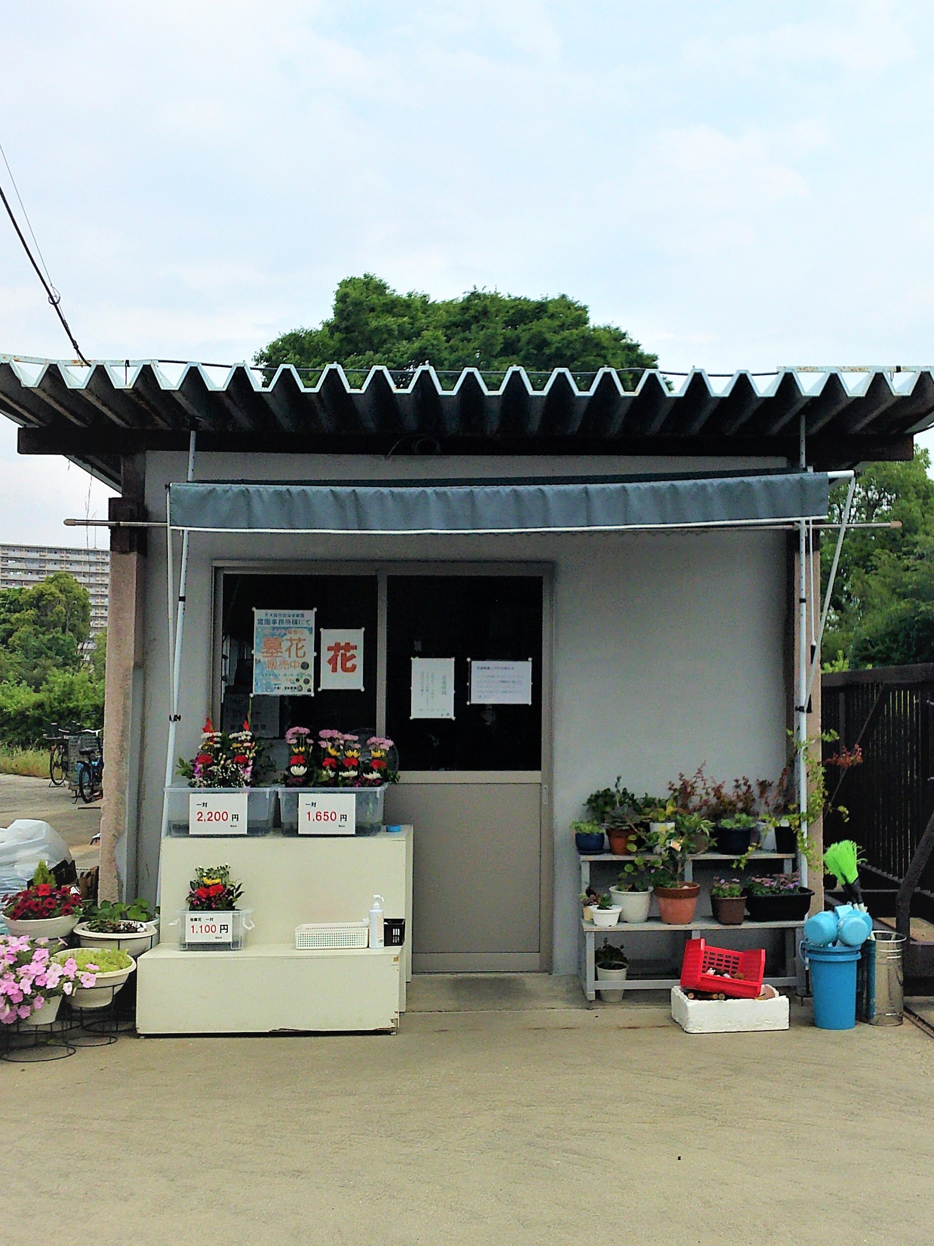 🌺瓜破霊園では墓花を販売しています。