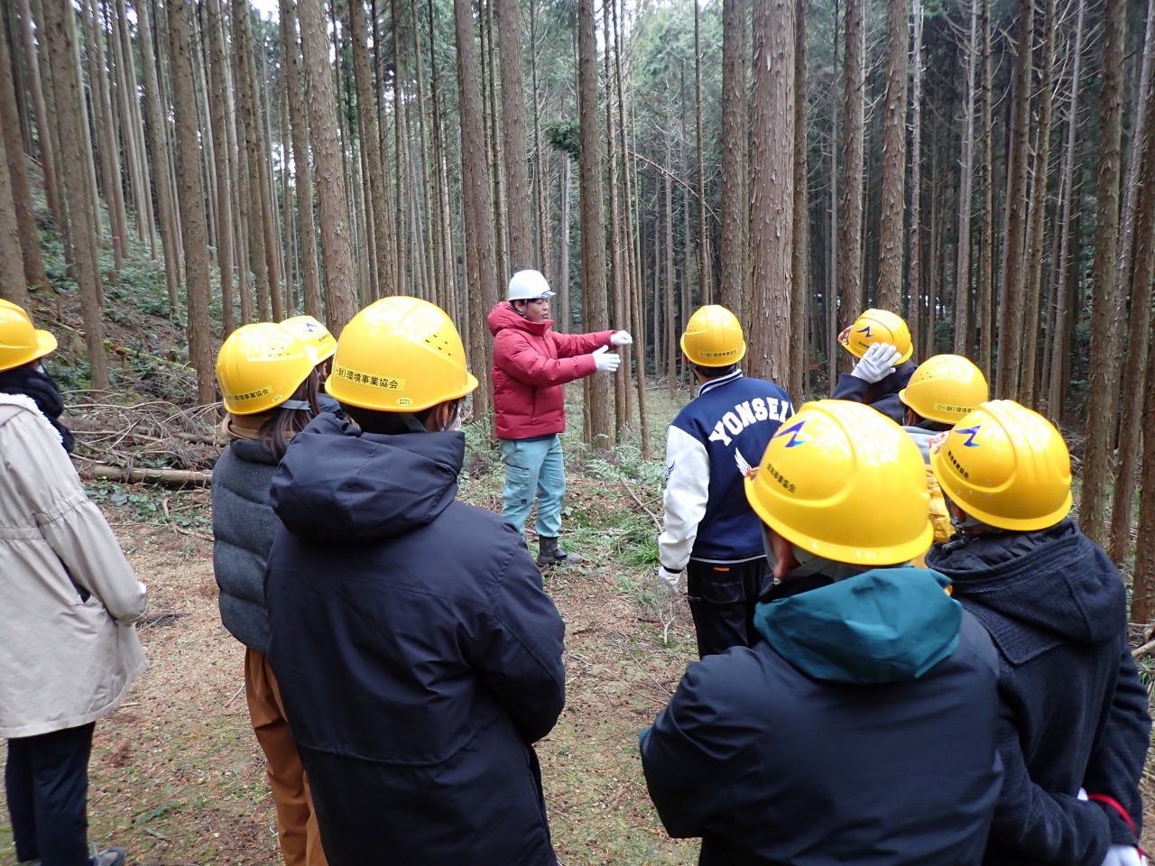 木づかいプロモーション企画　森林学習・間伐体験　レポート