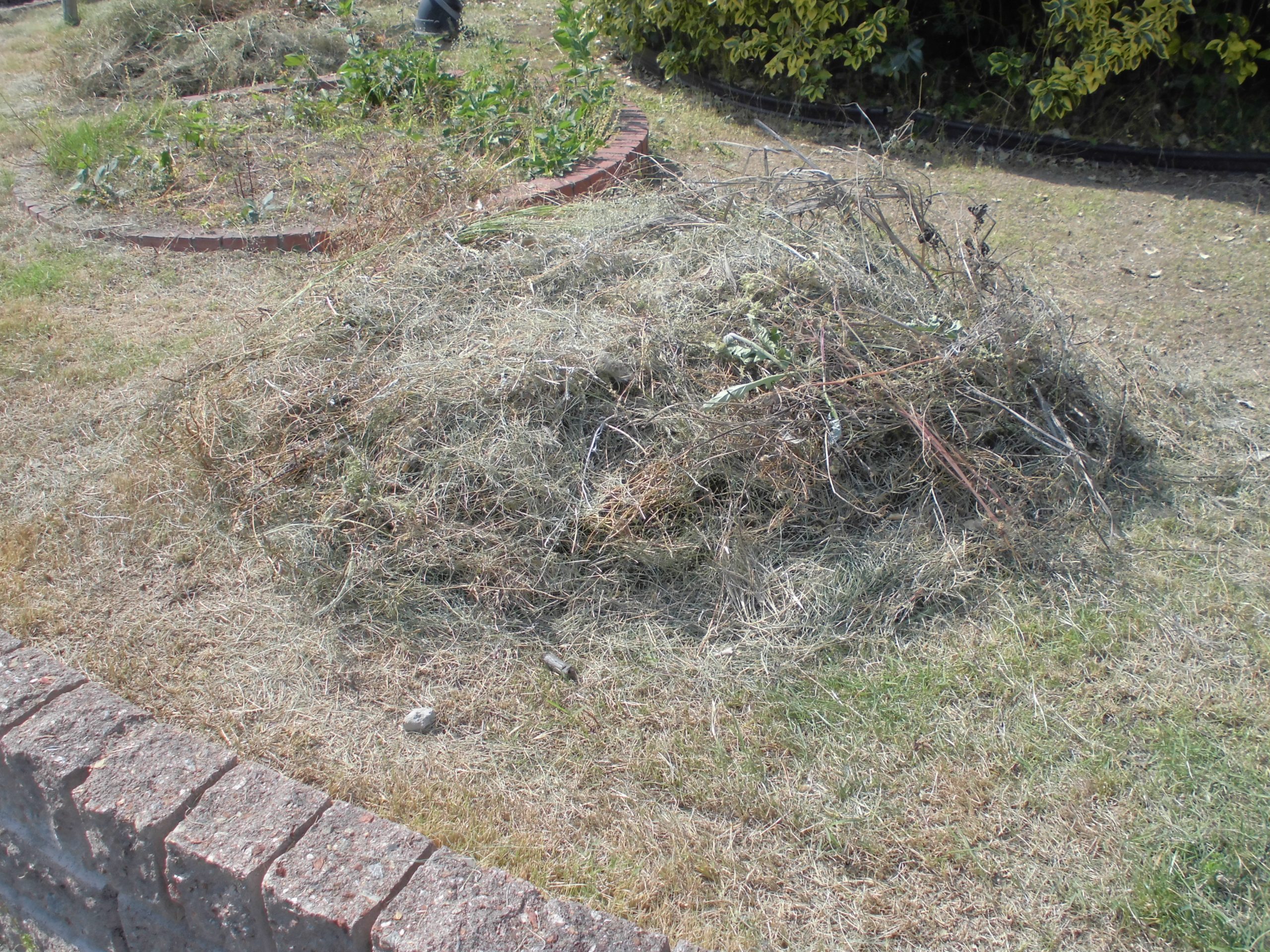 除草作業を実施しています。