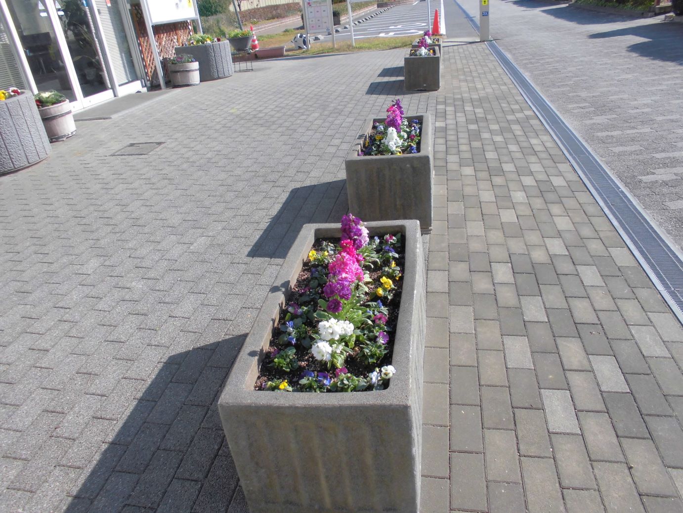 花壇の模様替え