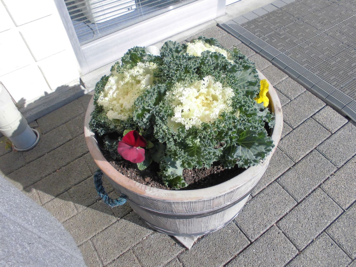 花壇の模様替え